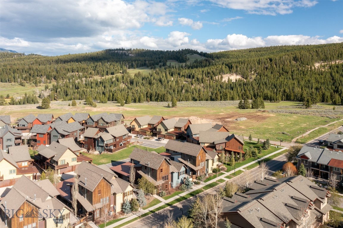 151B Pheasant Tail B