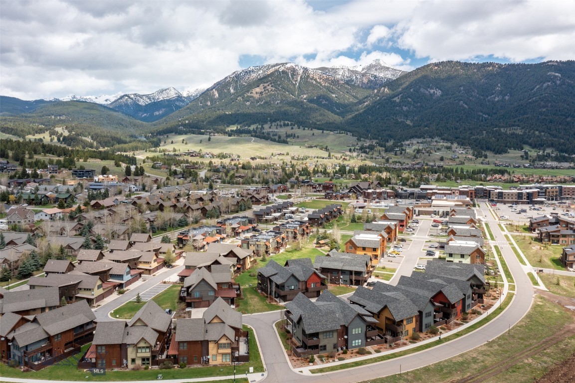 151B Pheasant Tail B