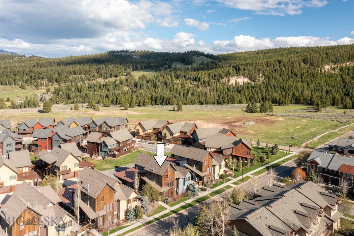 151B Pheasant Tail B