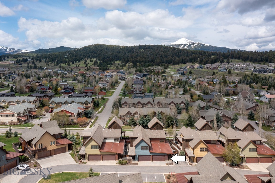 151B Pheasant Tail B