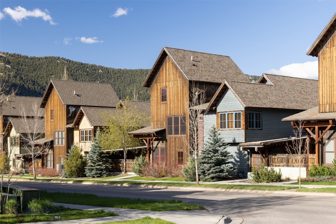 151B Pheasant Tail B