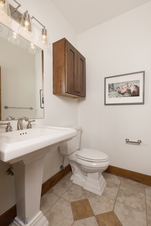 151B Pheasant Tail B