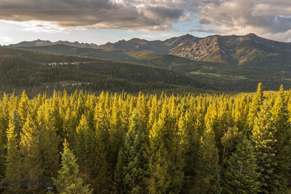 TBD Bitterbrush Road, Lot 42