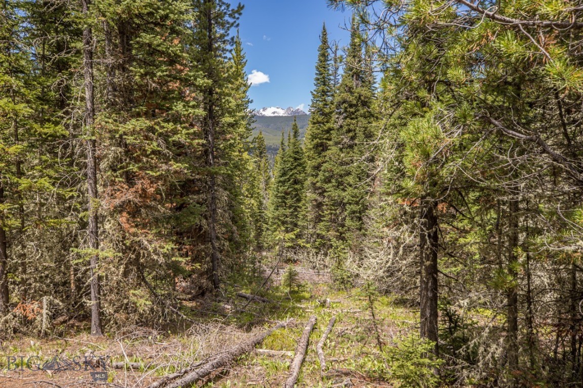 TBD Morning Glory Court, Lot 71