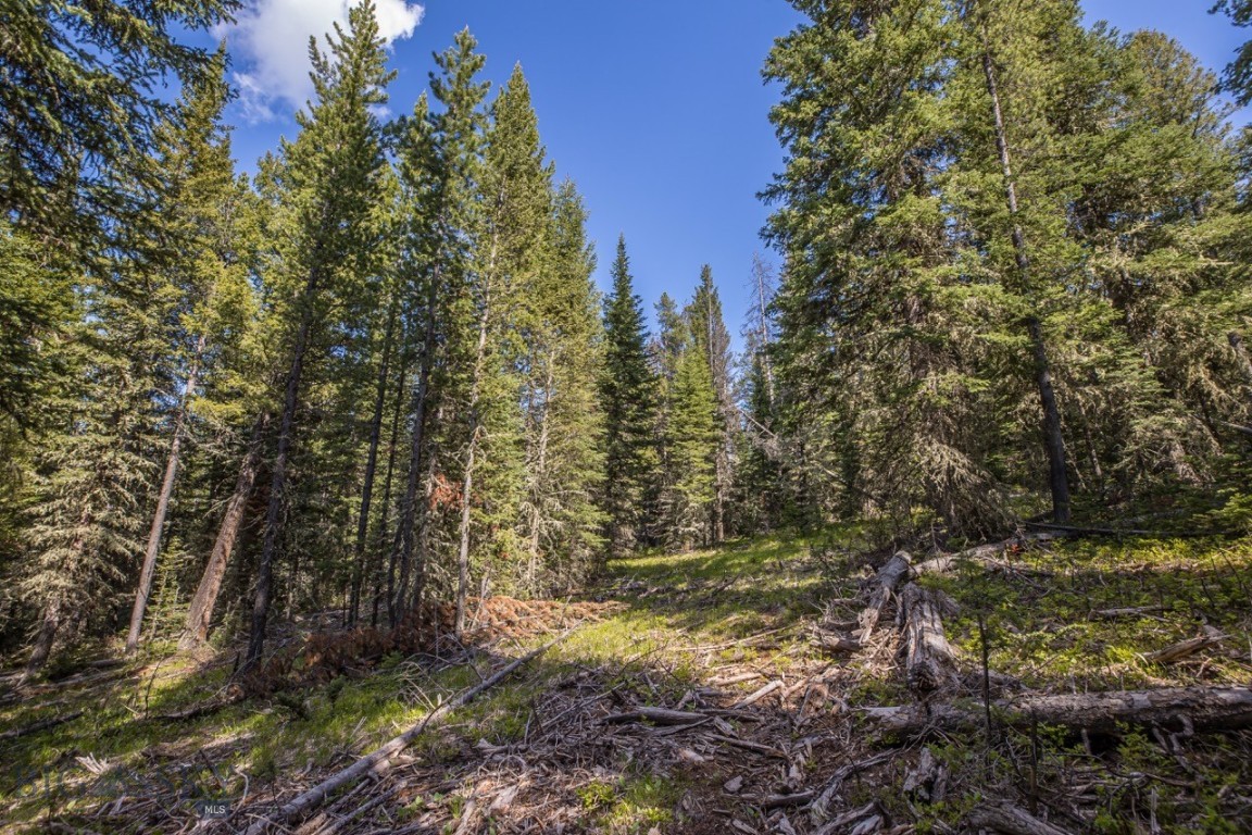 TBD Morning Glory Court, Lot 71