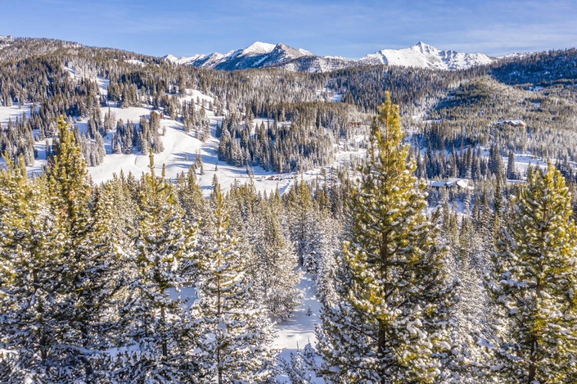 TBD Beehive Basin Road, Lot 4