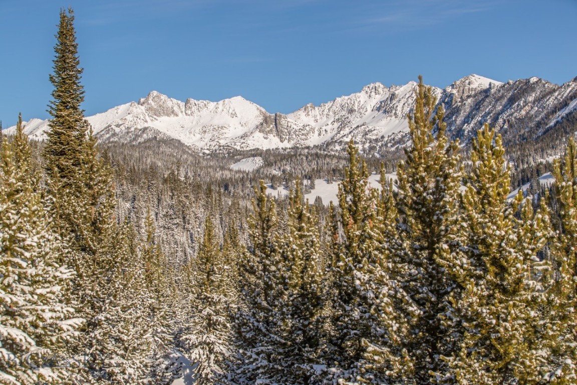 TBD Beehive Basin Road, Lot 4