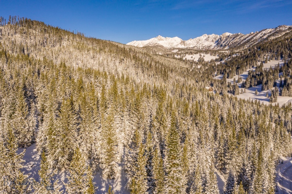 TBD Beehive Basin Road, Lot 4