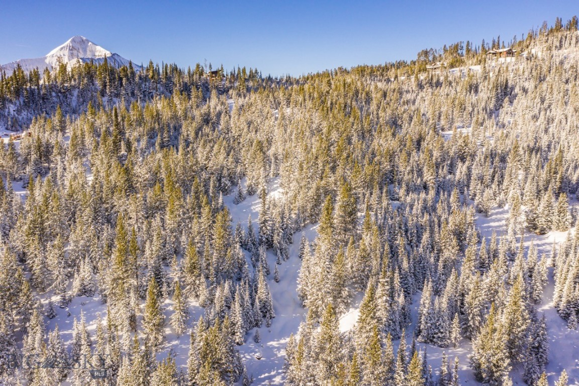 TBD Beehive Basin Road, Lot 4