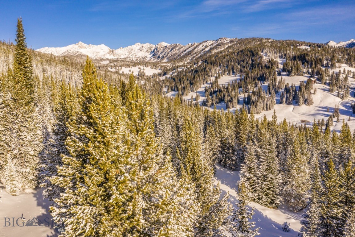 TBD Beehive Basin Road, Lot 4