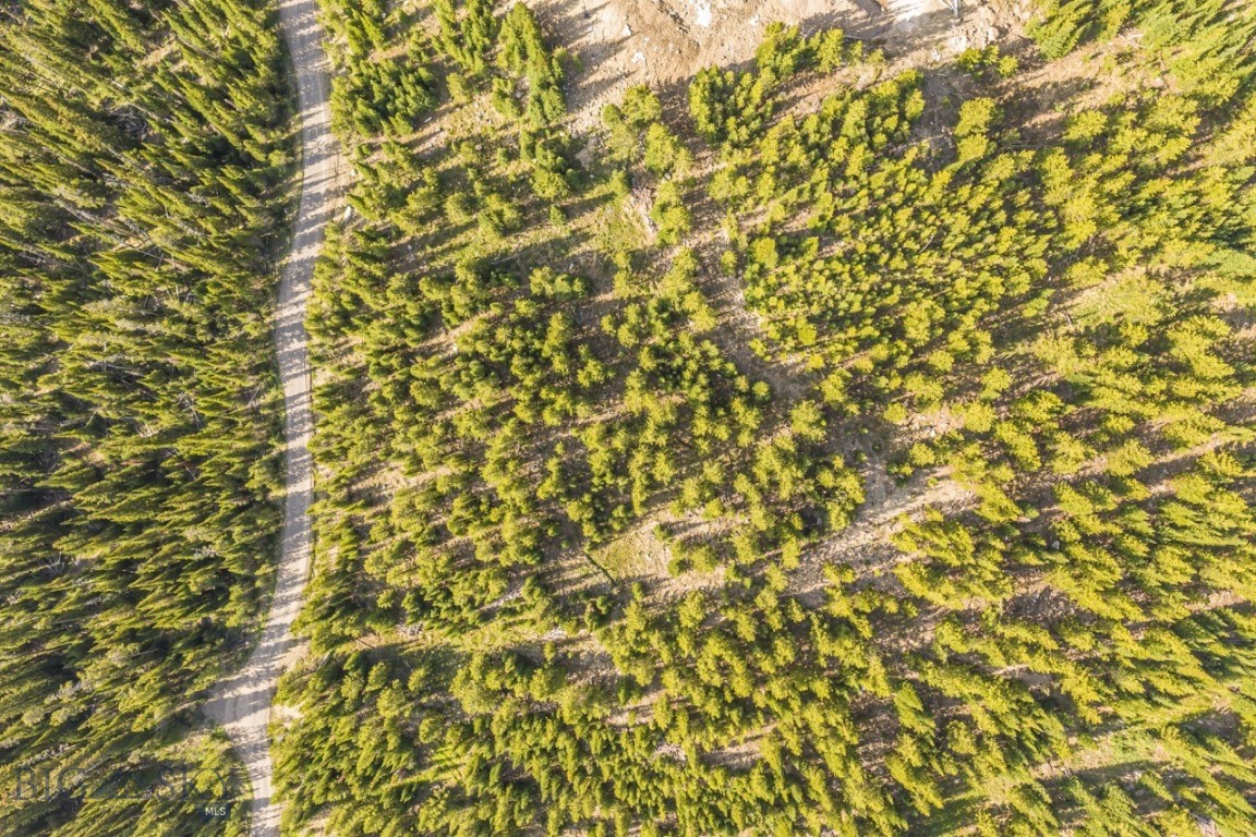 TBD Beehive Basin Road, Lot 4
