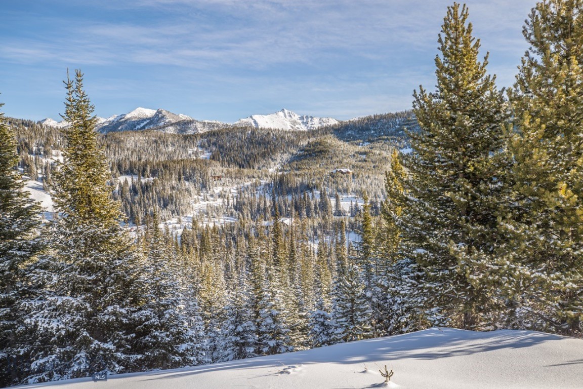 TBD Beehive Basin Road, Lot 4