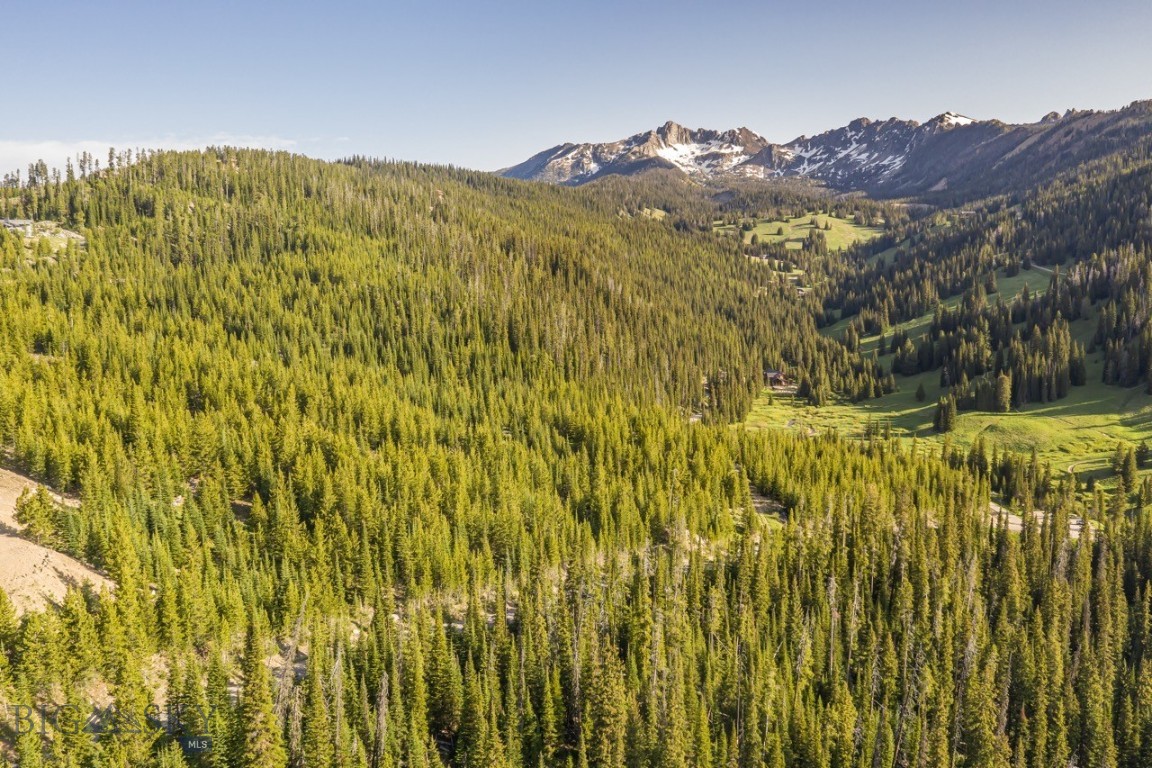 TBD Beehive Basin Road, Lot 4