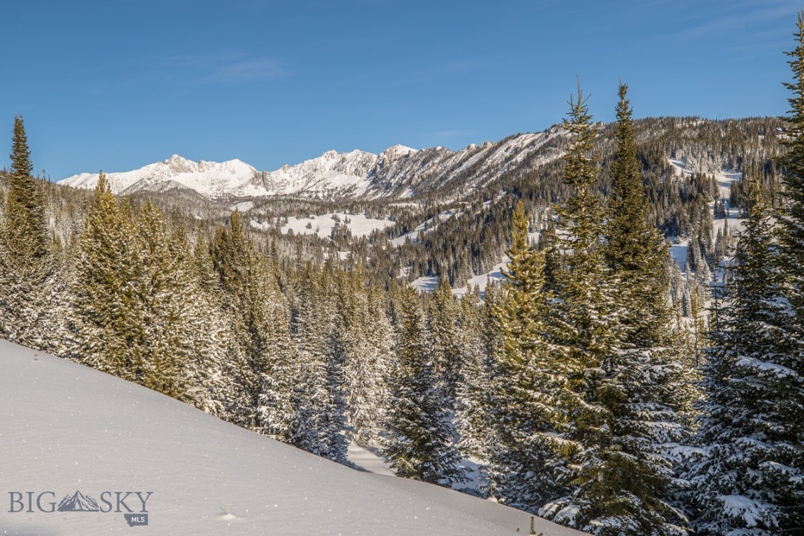 TBD Beehive Basin Road, Lot 4