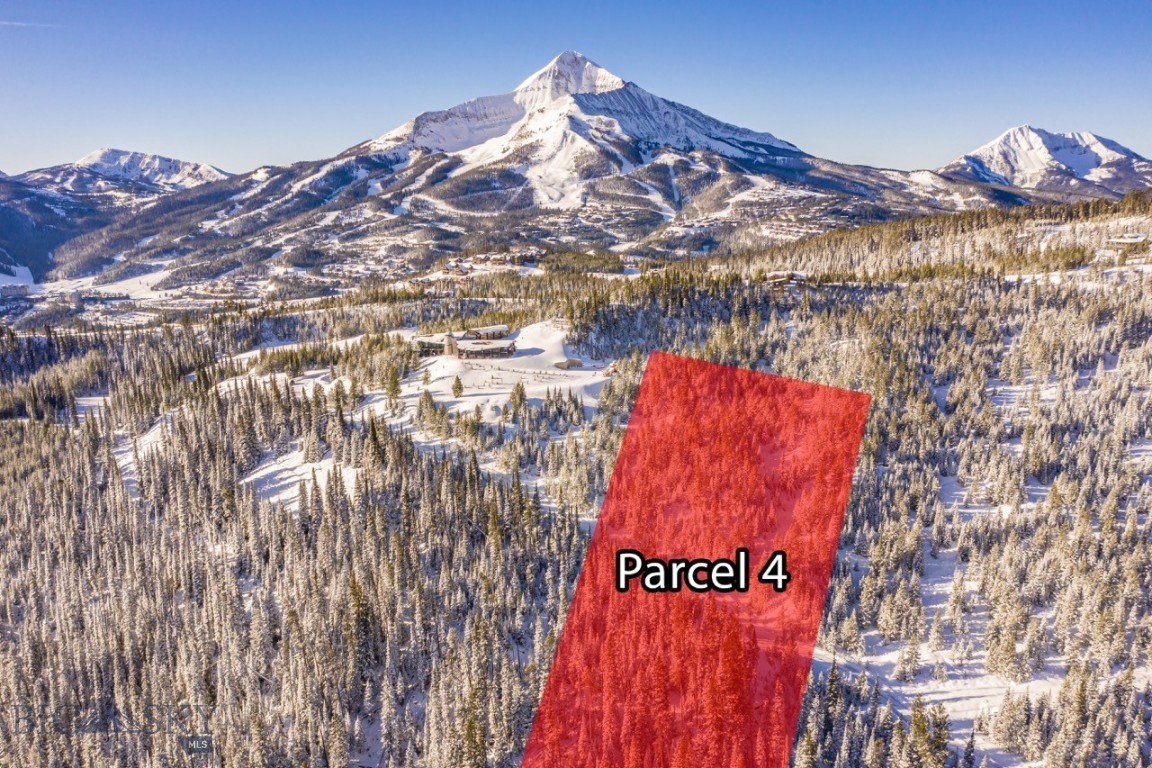 TBD Beehive Basin Road, Lot 4