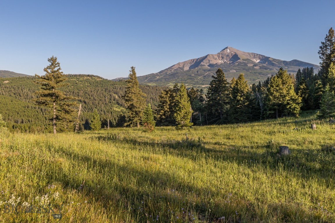 TBD Jack Creek Road, Moonlight Territory Parcel 2