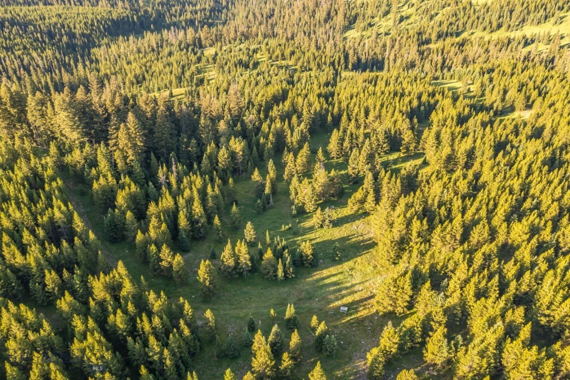 TBD Jack Creek Road, Moonlight Territory Parcel 2