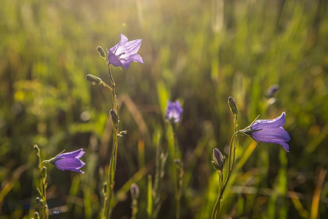 TBD Jack Creek Road, Moonlight Territory Parcel 2