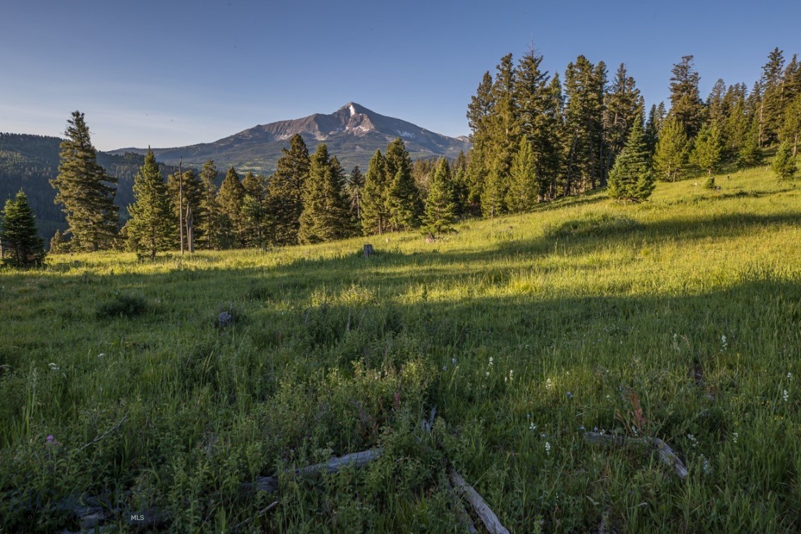 TBD Jack Creek Road, Moonlight Territory Parcel 2