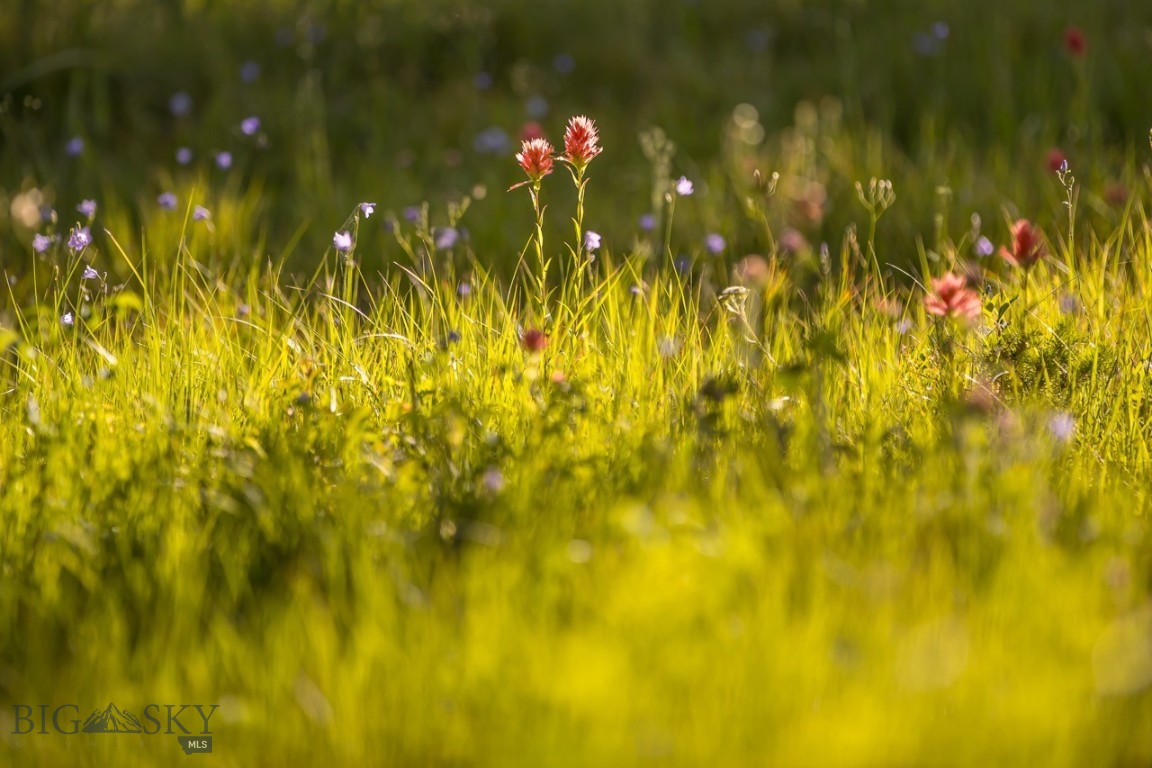 TBD Jack Creek Road, Moonlight Territory Parcel 2