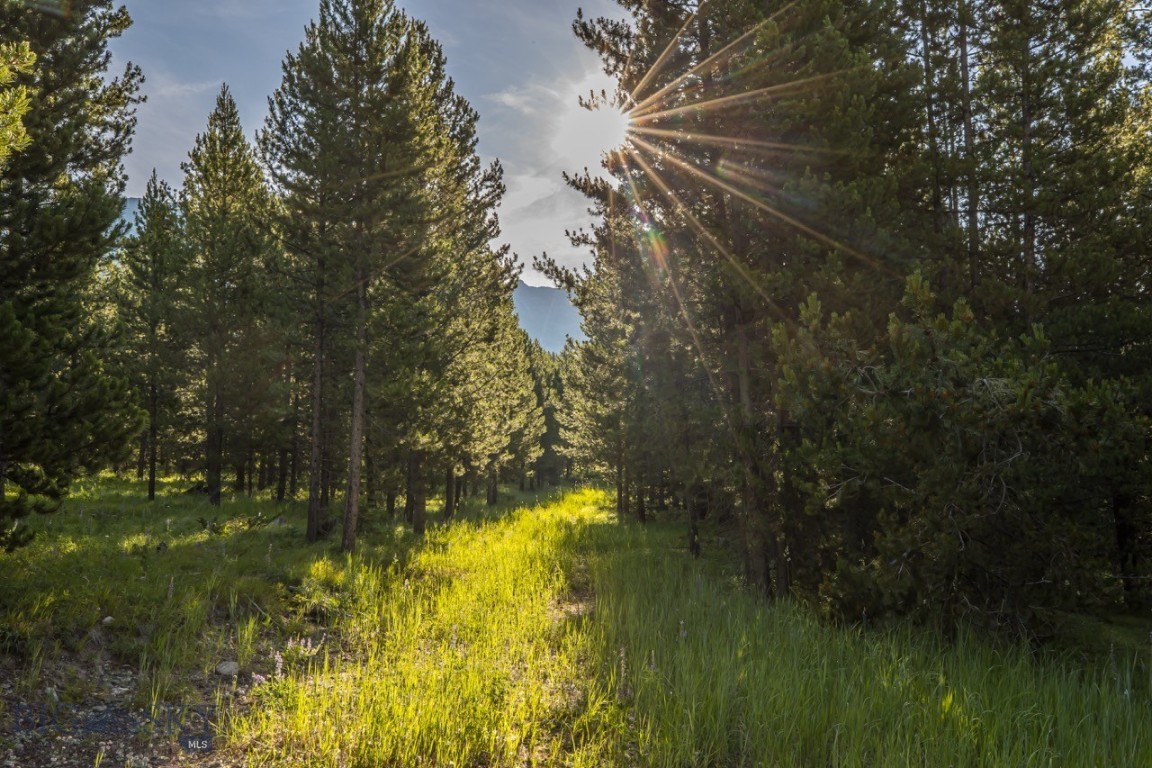 TBD Jack Creek Road, Moonlight Territory Parcel 2