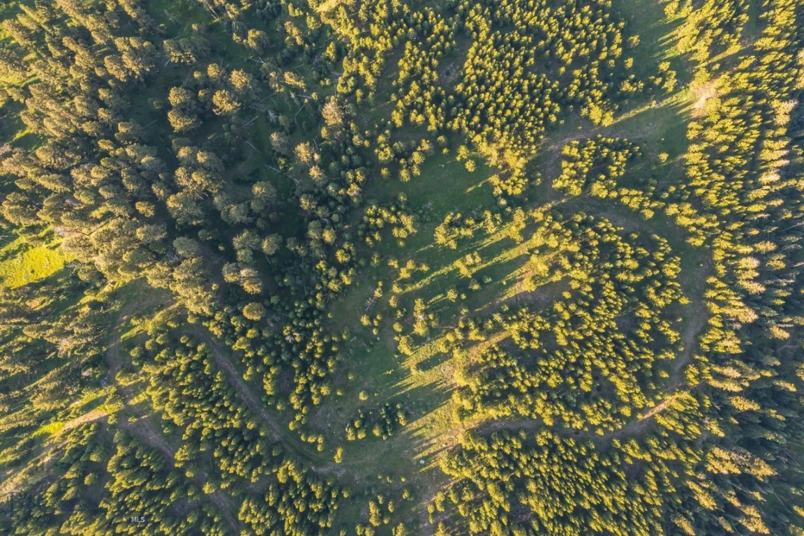 TBD Jack Creek Road, Moonlight Territory Parcel 2