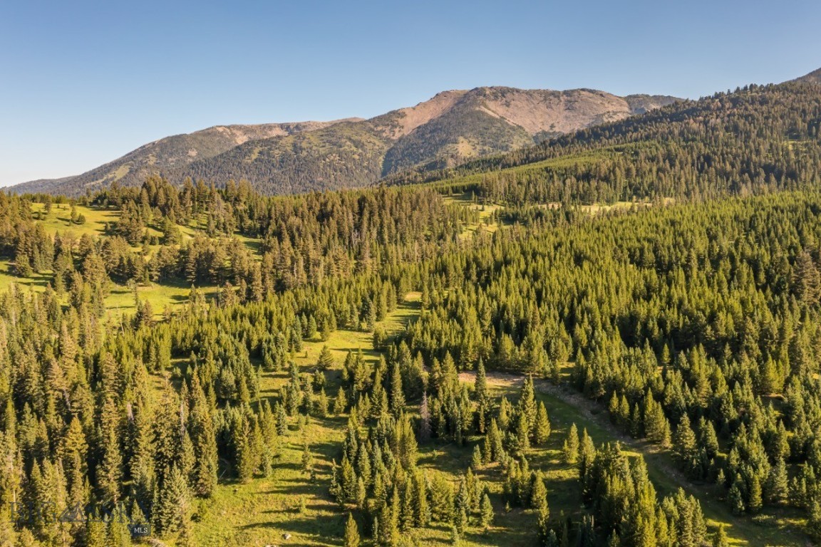 TBD Jack Creek Road, Moonlight Territory Parcel 2