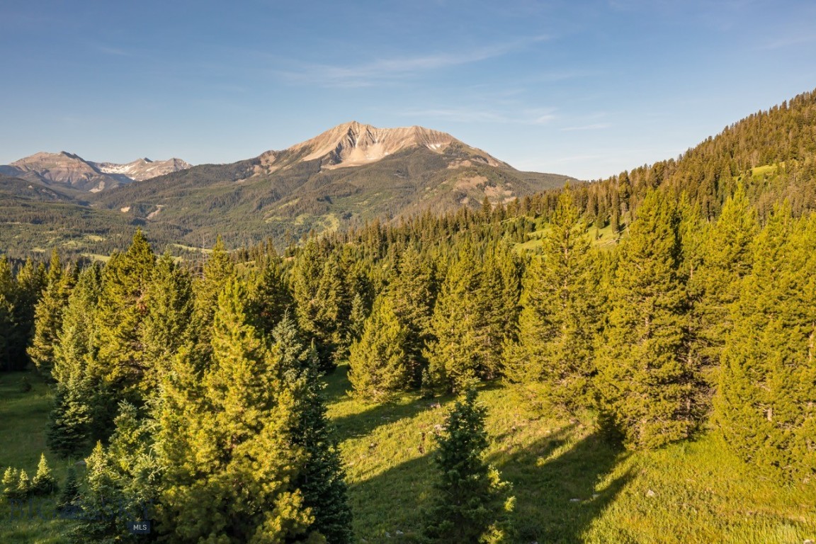 TBD Jack Creek Road, Moonlight Territory Parcel 2