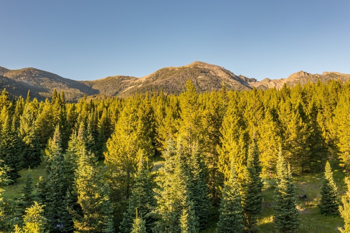 TBD Jack Creek Road, Moonlight Territory Parcel 2