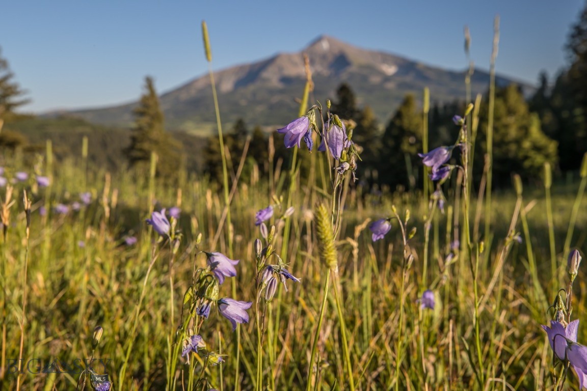 TBD Jack Creek Road, Moonlight Territory Parcel 2