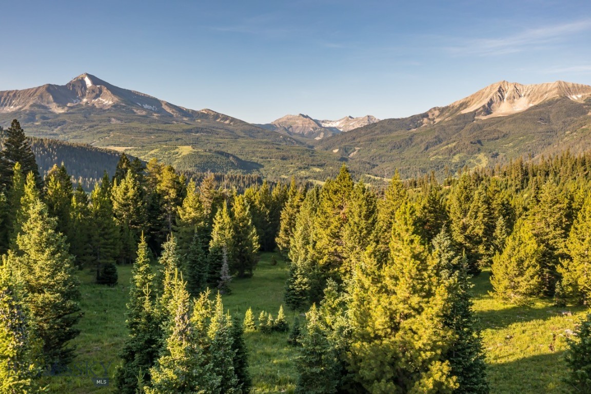 TBD Jack Creek Road, Moonlight Territory Parcel 2