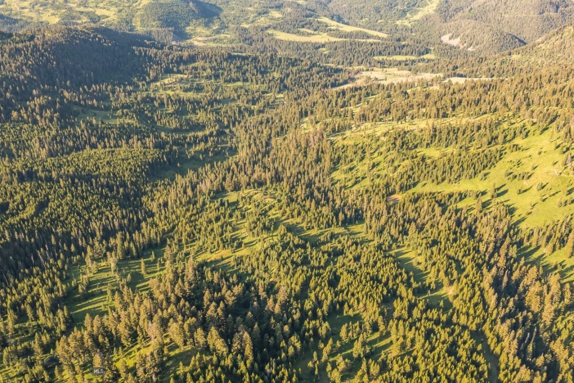 TBD Jack Creek Road, Moonlight Territory Parcel 2