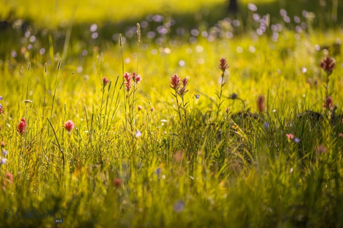 TBD Jack Creek Road, Moonlight Territory Parcel 2