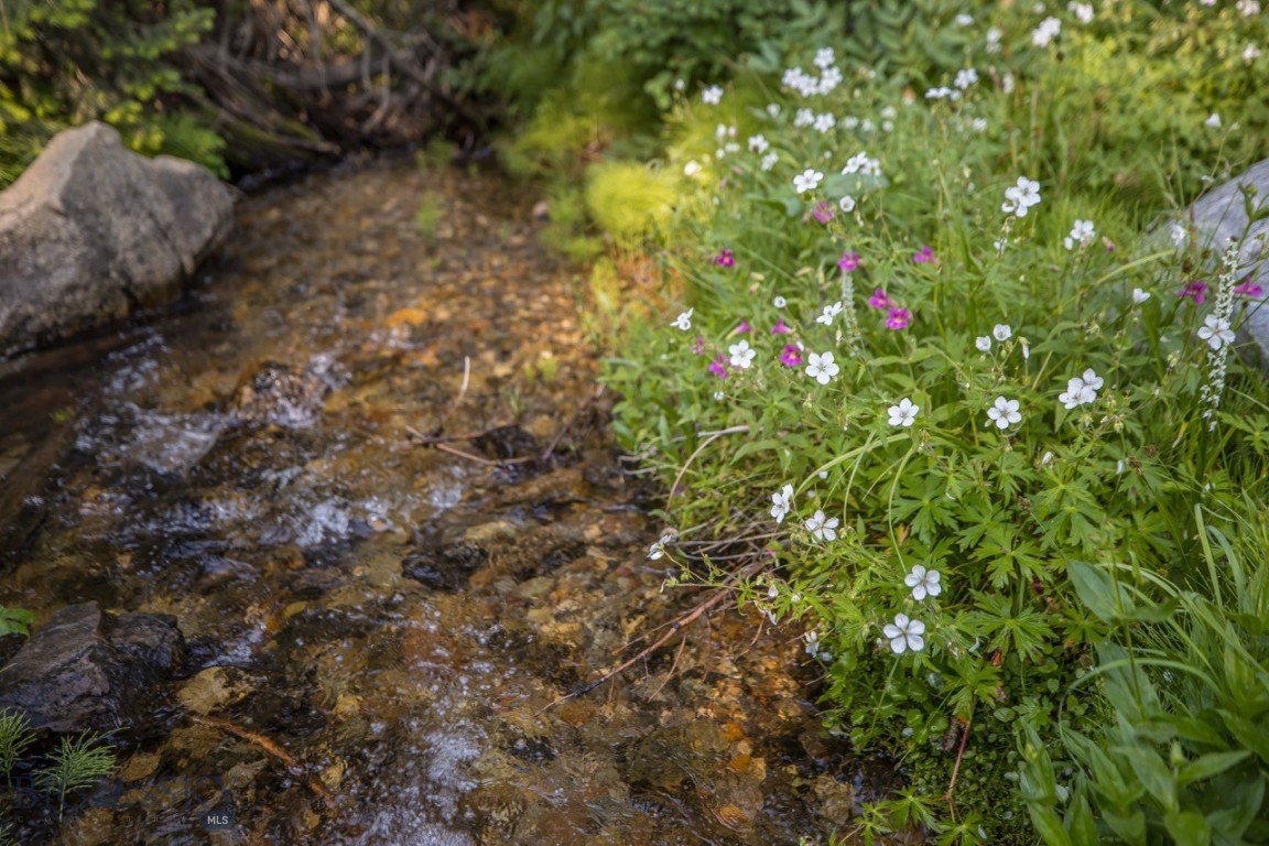 TBD Jack Creek Road, Moonlight Territory Parcel 2