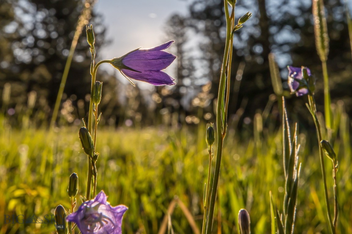 TBD Jack Creek Road, Moonlight Territory Parcel 2