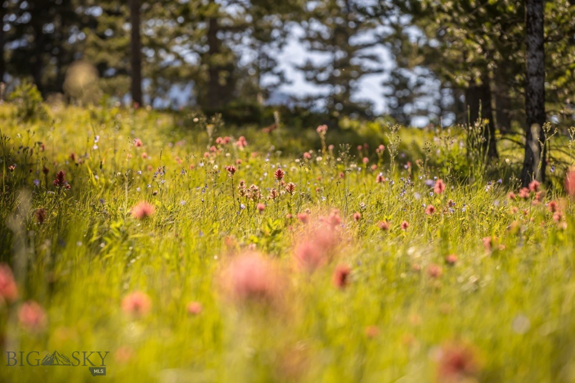 TBD Jack Creek Road, Moonlight Territory Parcel 2