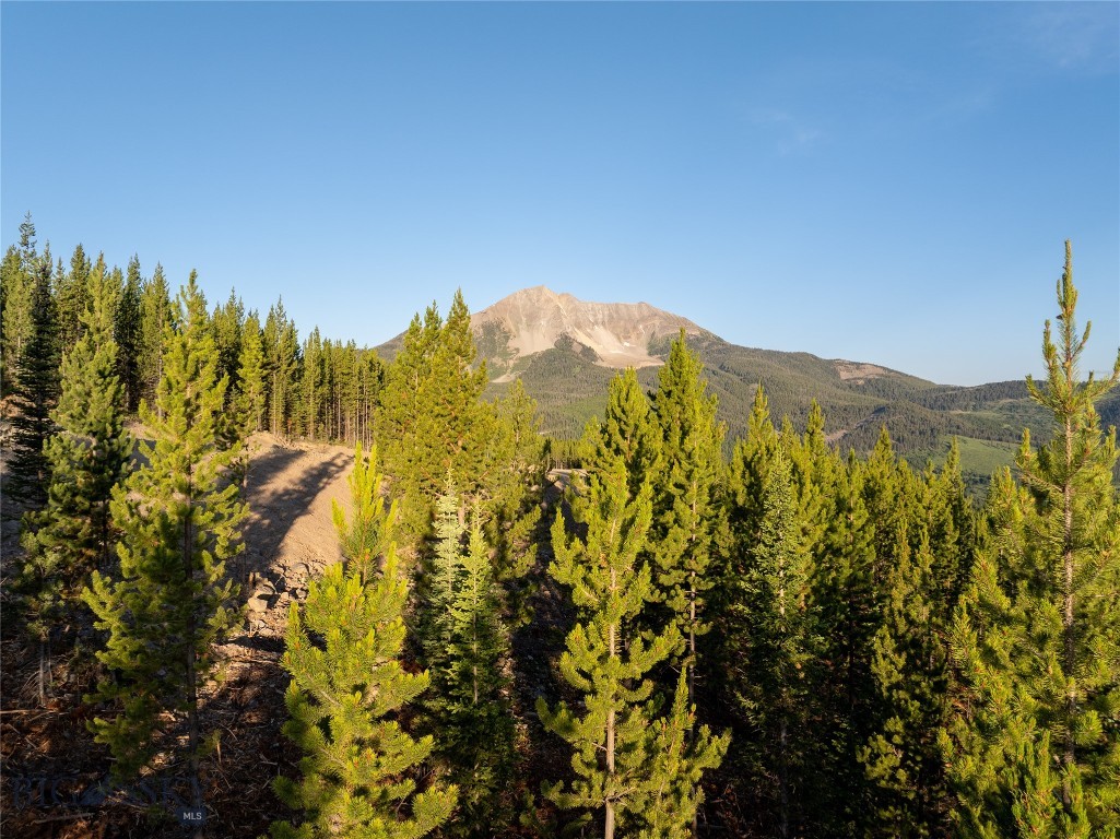 TBD Sawtooth Road Lot 21