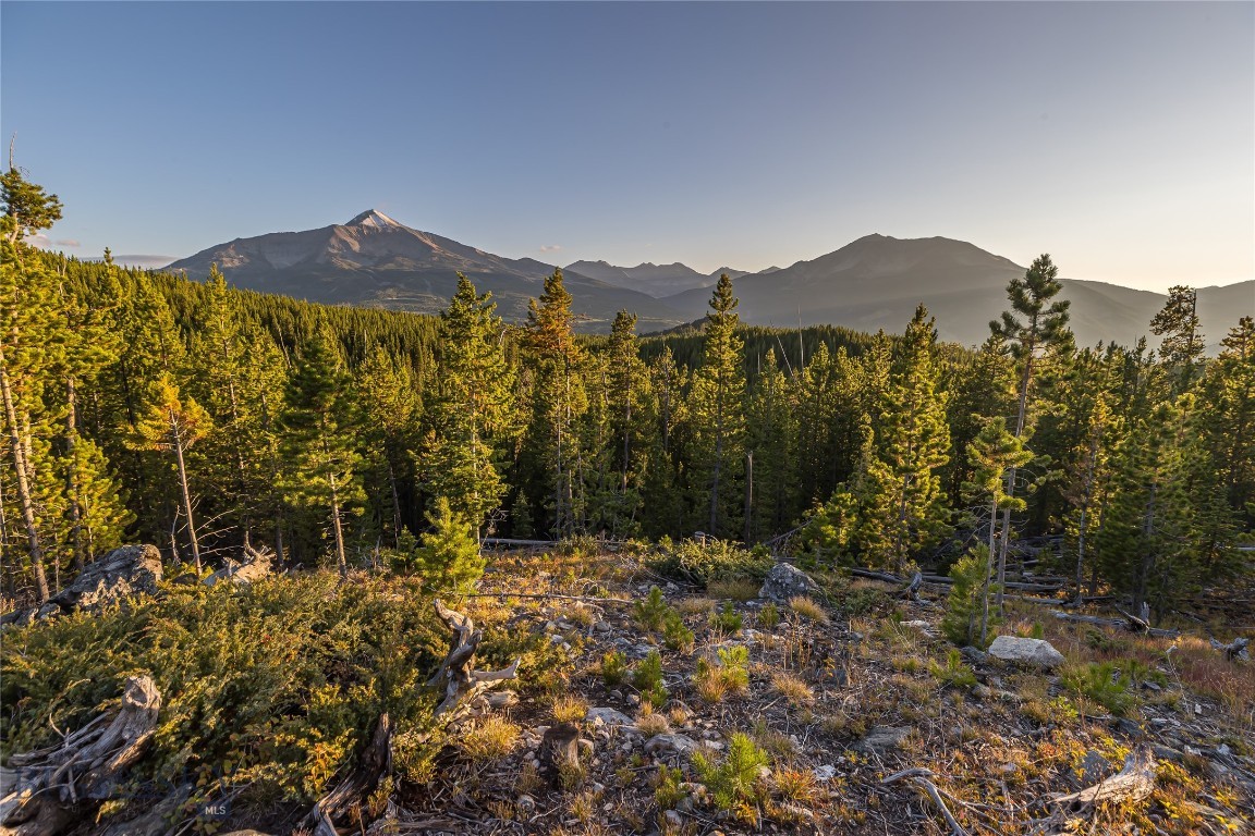 TBD Jack Creek Road, Moonlight Territory 4