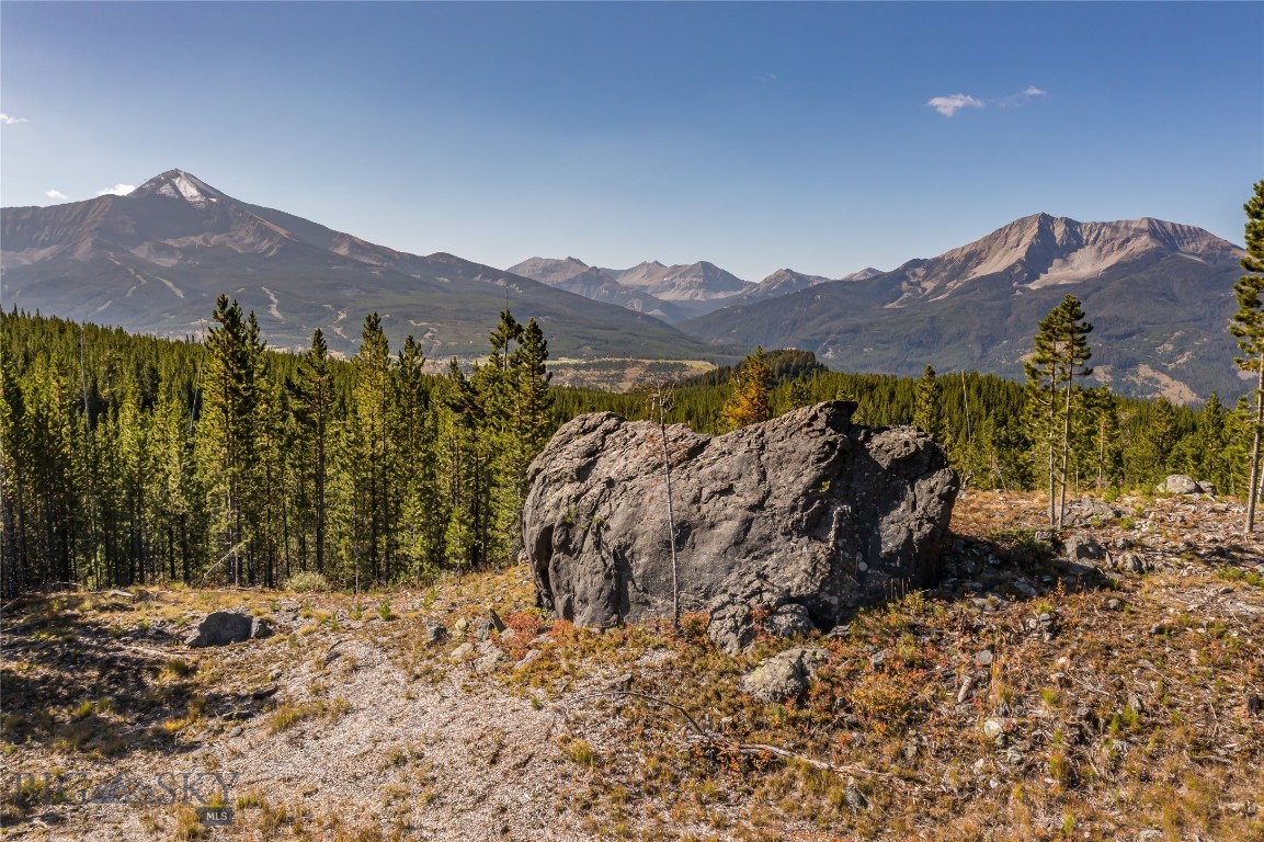 TBD Jack Creek Road, Moonlight Territory 4