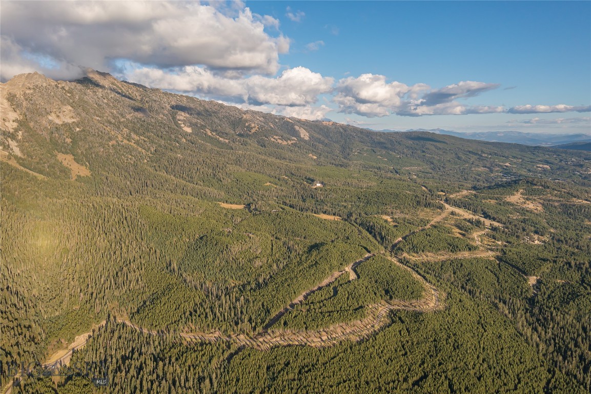 TBD Jack Creek Road, Moonlight Territory 4