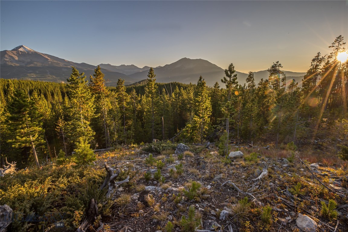 TBD Jack Creek Road, Moonlight Territory 4