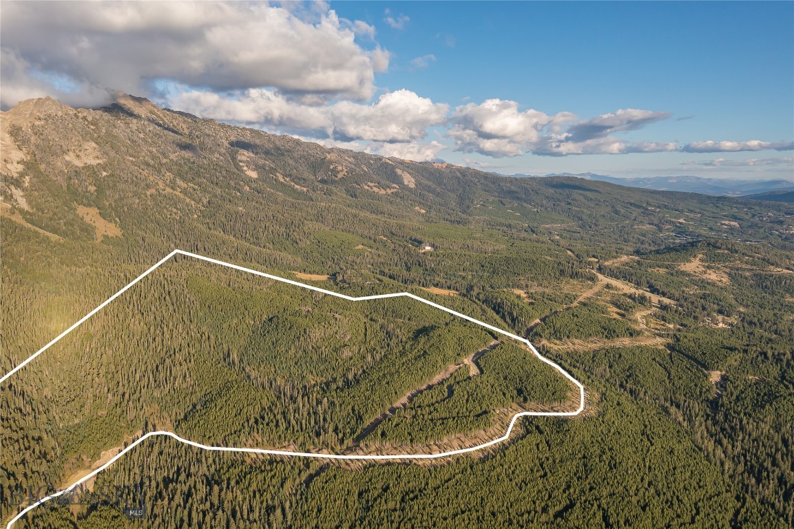 TBD Jack Creek Road, Moonlight Territory 4