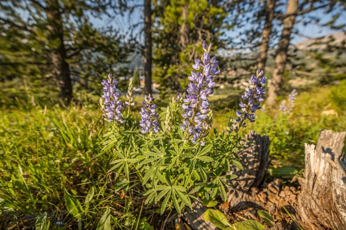 TBD Washaki Lot 23 Road