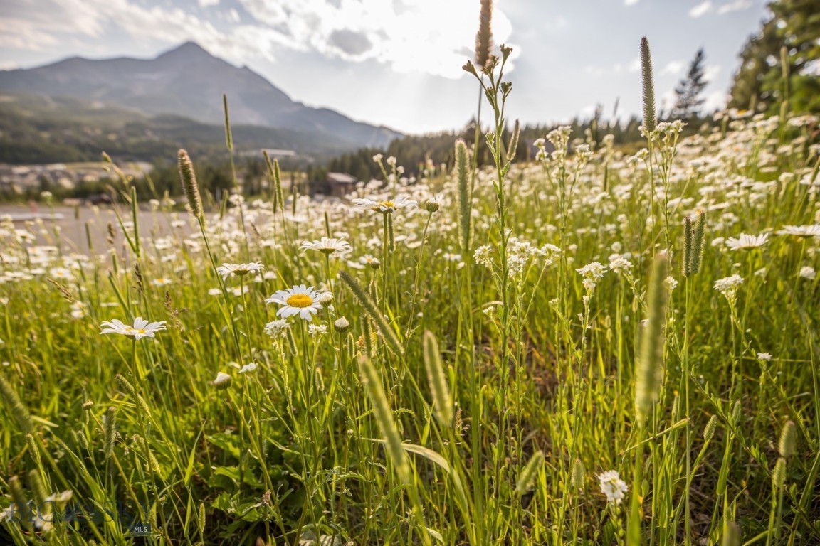 TBD Washaki Lot 23 Road