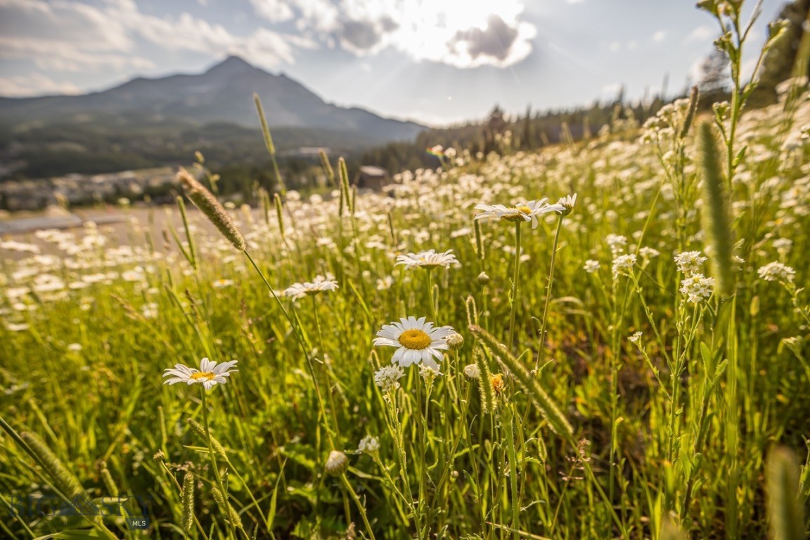 TBD Washaki Lot 23 Road