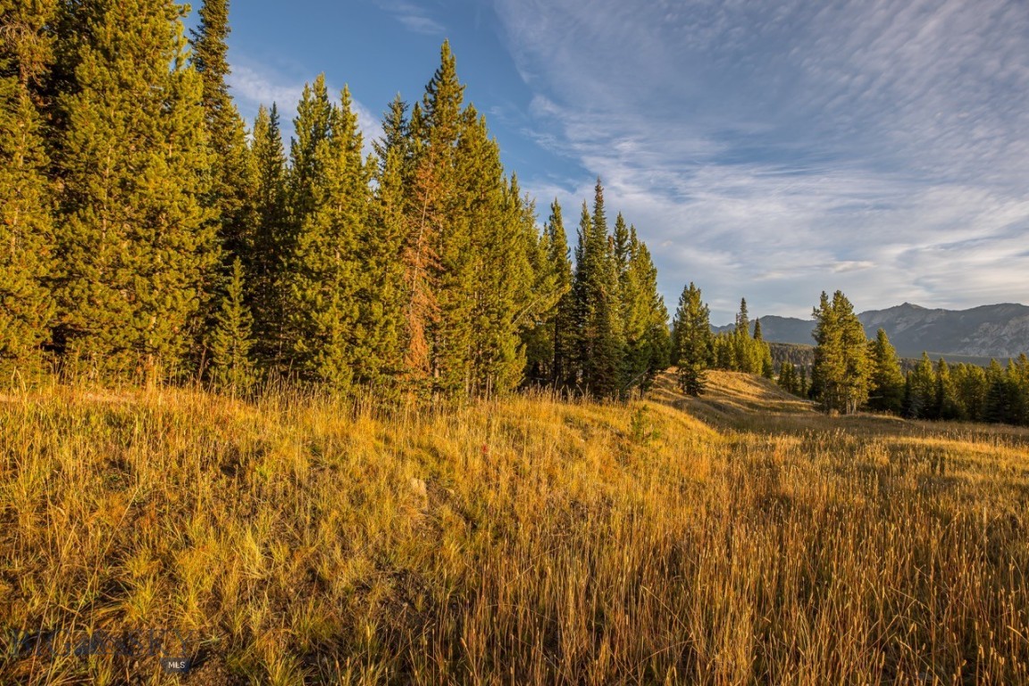 TBD Eagle View Trail