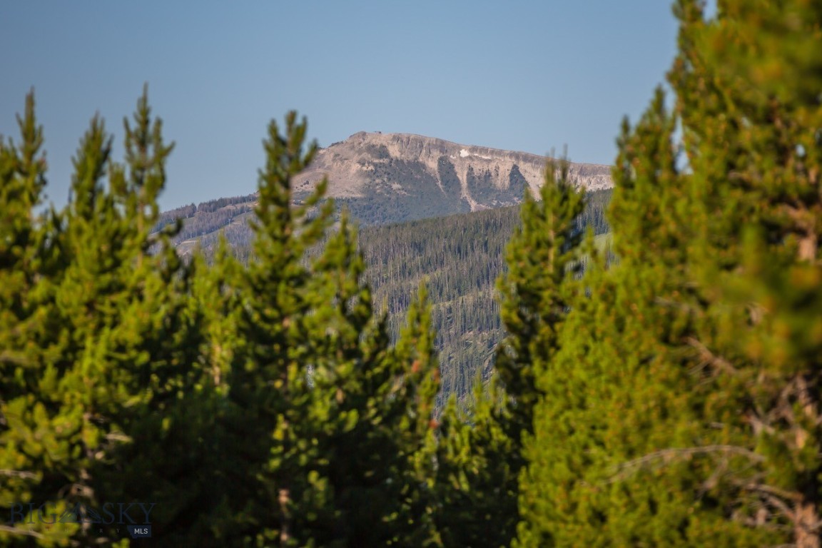 TBD Ridge Fork Road