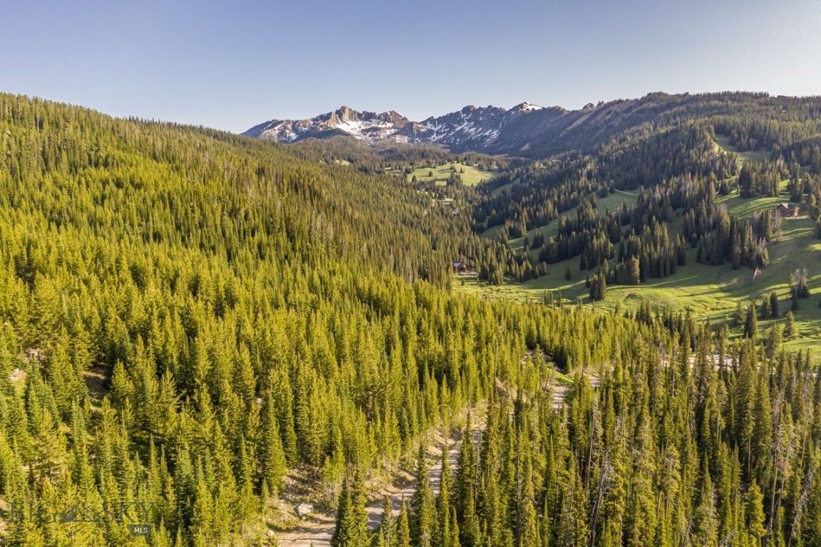 TBD Beehive Basin Road, Lot 4 photo 12