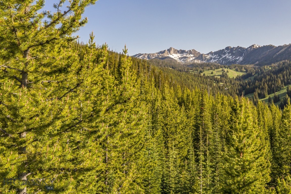 TBD Beehive Basin Road, Lot 4