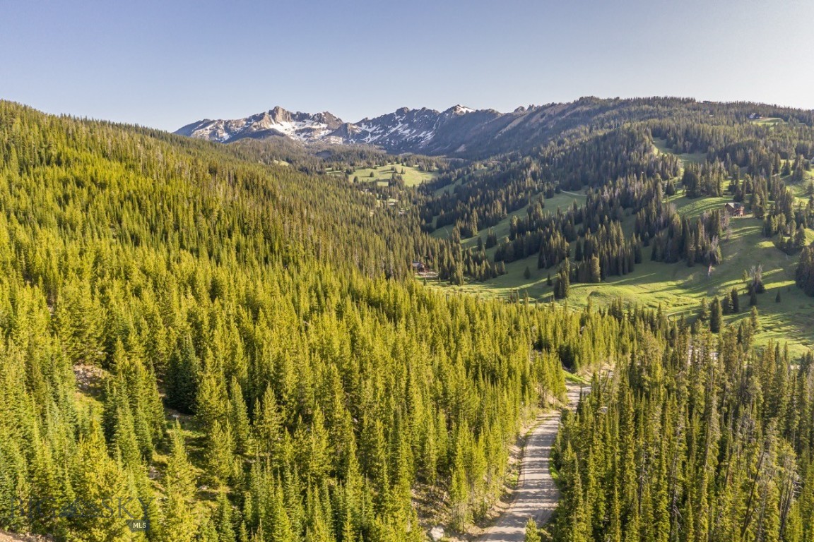 TBD Beehive Basin Road, Lot 4